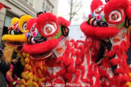 Lion dancers at "Madison Street to Madison Avenue" Lunar New Year Celebration on Feb. 6, 2016 in New York City. Photo by Lia Chang
